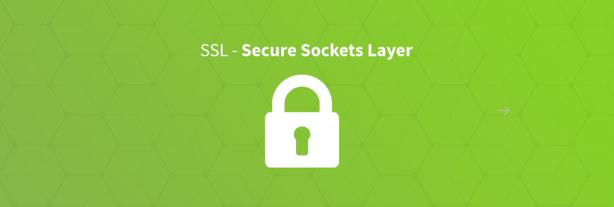 SSL - Secure Sockets Layer - standard security technology